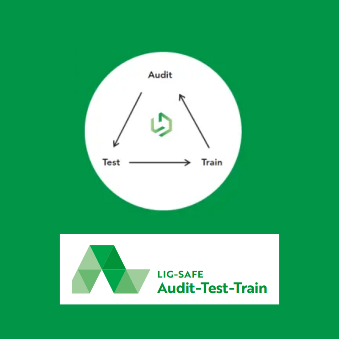 Lig-Safe Audit, Test and Train service cycle